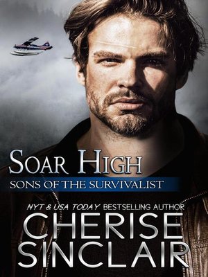 cover image of Soar High